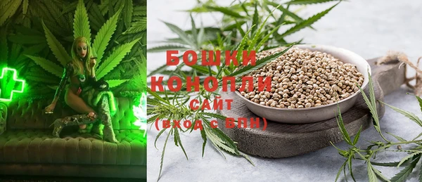 ПСИЛОЦИБИНОВЫЕ ГРИБЫ Богородск
